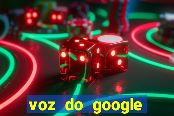 voz do google tradutor homem